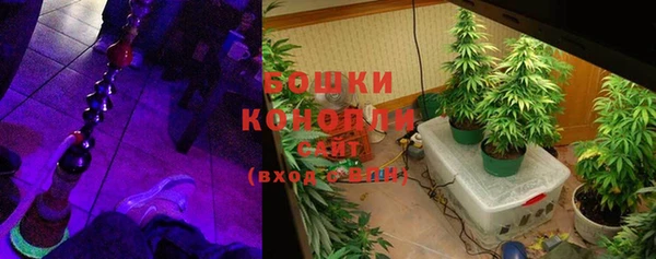 эйфоретик Липки