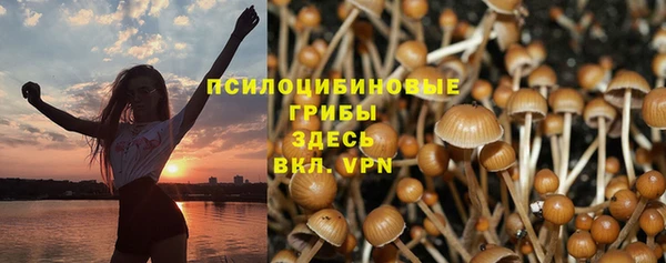 ALPHA PVP Сосновка